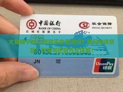 大猪蹄子app贷款平台