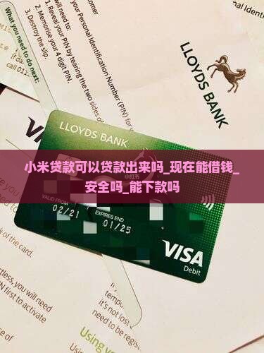 小米贷款可以贷款出来吗