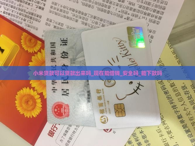 小米贷款可以贷款出来吗