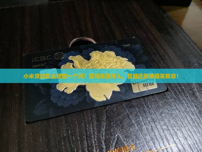 小米贷款怎么就借一个月