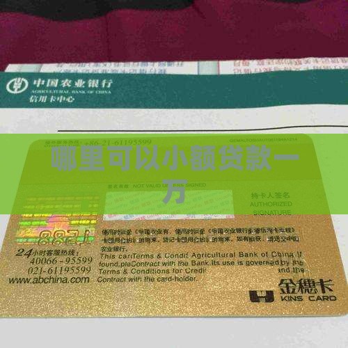 哪里可以小额贷款一万
