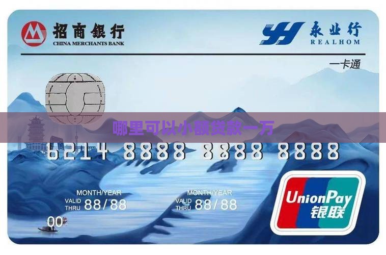 哪里可以小额贷款一万