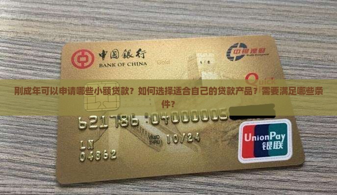 刚成年有什么小额贷款