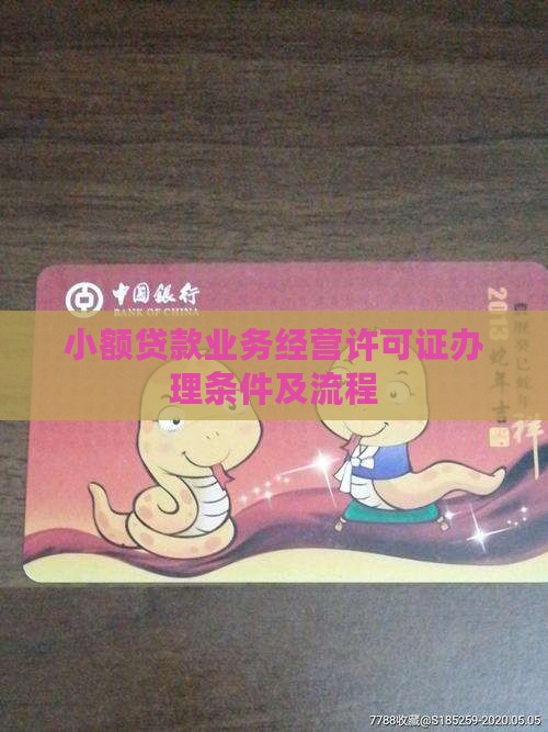 小额贷款业务经营许可证