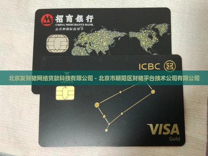 北京发财猪网络贷款