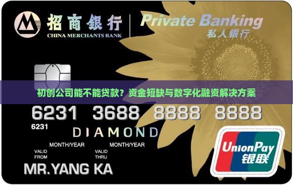 初创公司能不能贷款