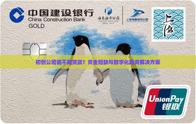 初创公司能不能贷款