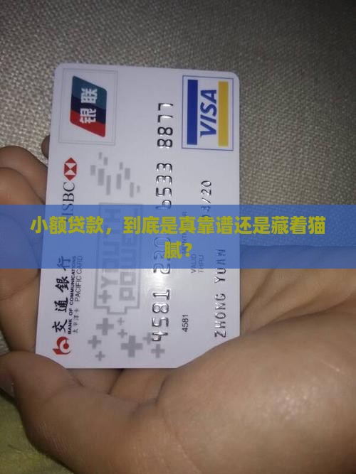 小额贷款是正规还是仿