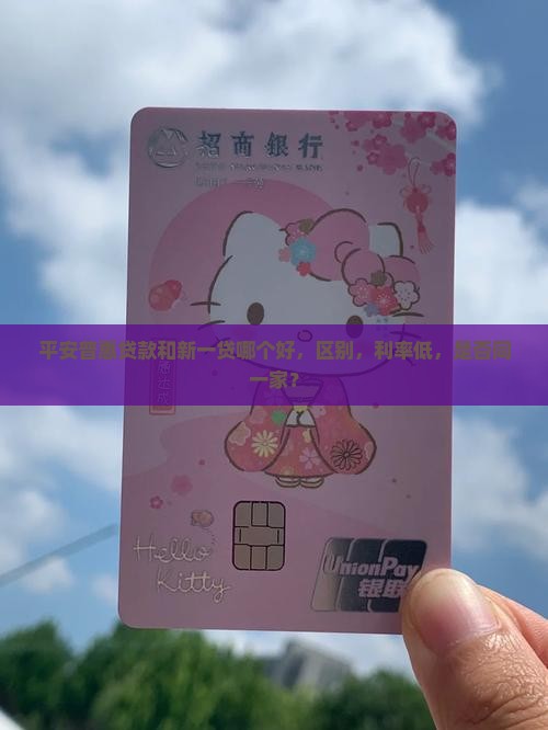 平安普惠贷款和新一贷