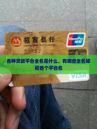 各种贷款平台全名