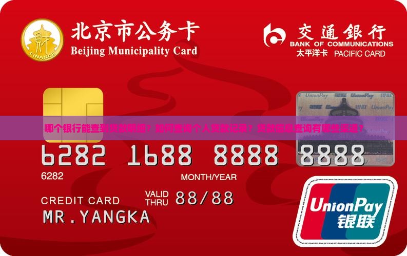 哪个银行能查到贷款明细