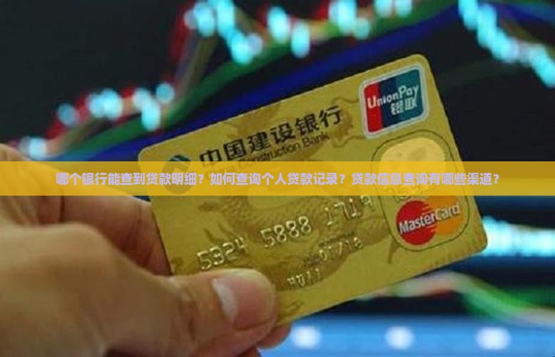 哪个银行能查到贷款明细