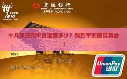 十几家贷款平台可以贷出多少钱