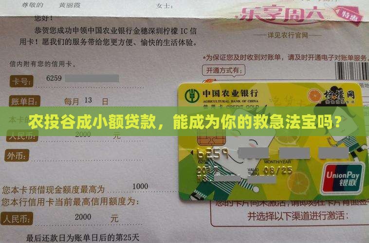 农投谷成小额贷款