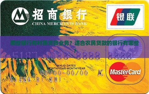 哪些银行有村民贷款业务