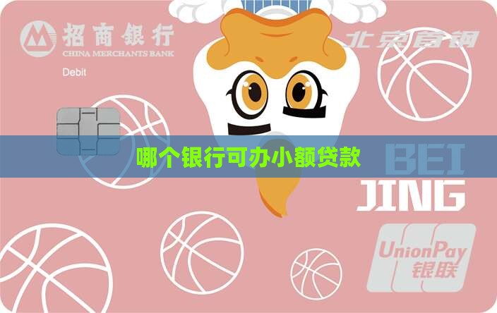 哪个银行可办小额贷款