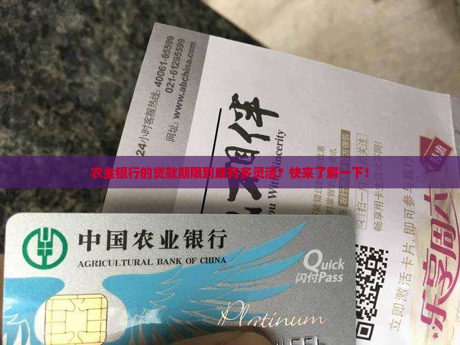 农金银行贷款期限