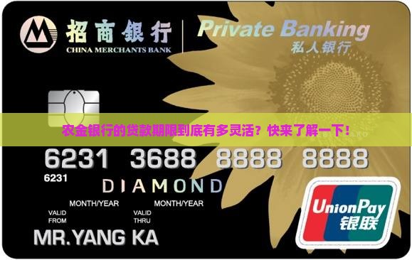 农金银行贷款期限