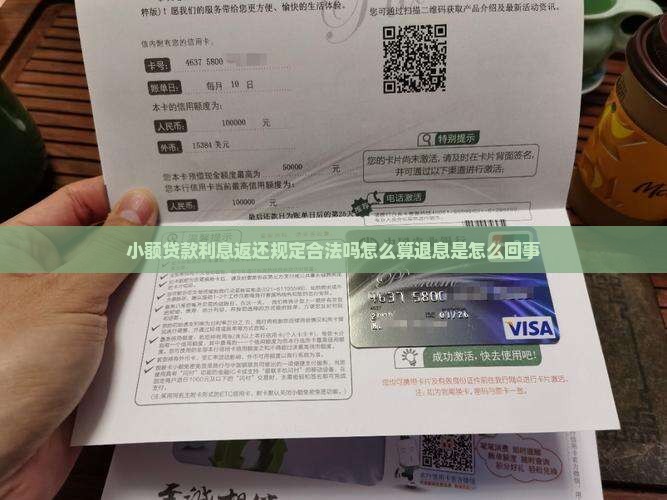 小额贷款利息返还