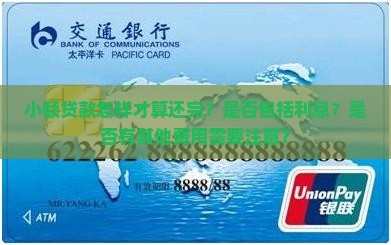 小额贷款怎样才算还完