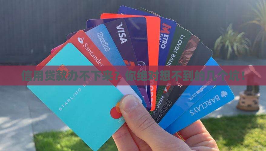 怎么样才办不了信用贷款