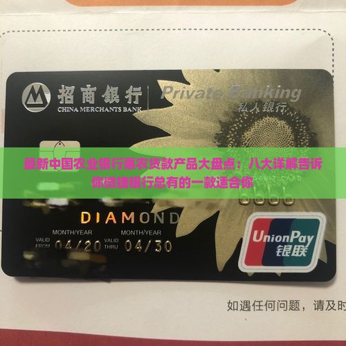 去农业银行申请贷款