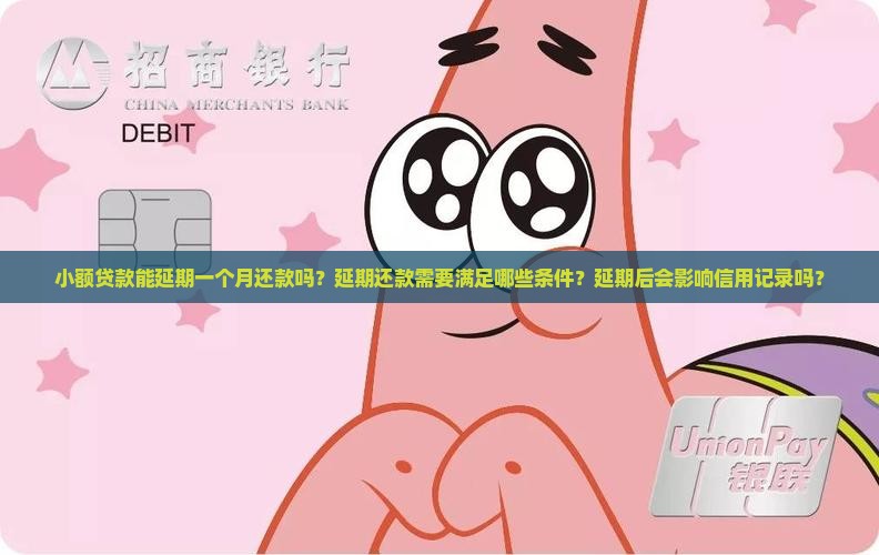 小额贷款能延期一个月还款吗