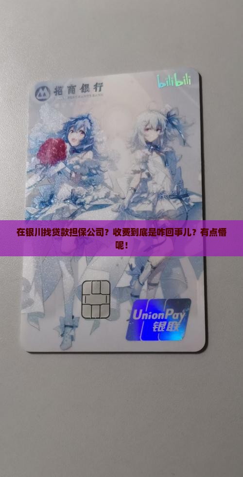 宁夏银川贷款担保公司收费标准