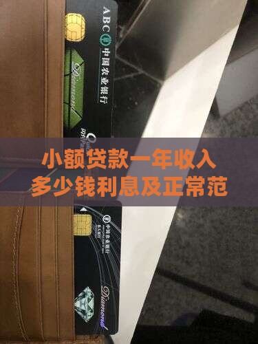 小额贷款一年收入多少钱