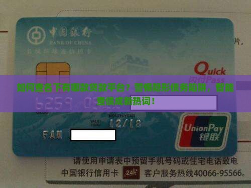 如何查名下有哪款贷款平台