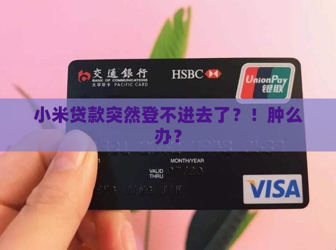 小米贷款登录不上了