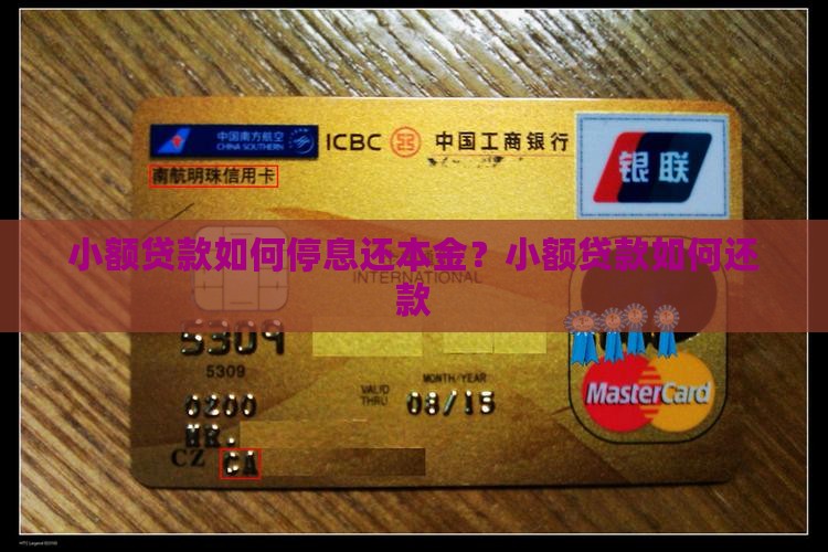 小额贷款如何停息还本金