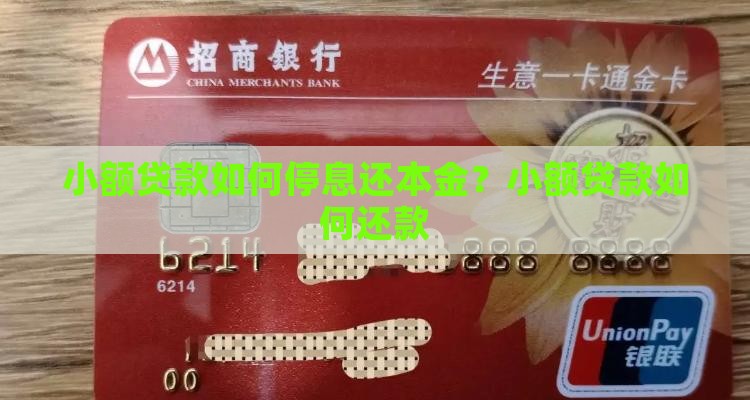 小额贷款如何停息还本金