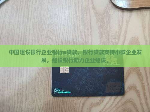 建行企业银行e贷款