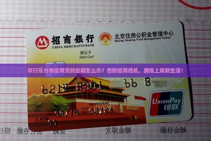 农行乐分易信用贷款逾期