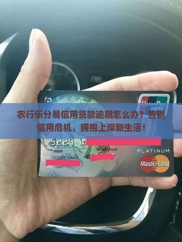 农行乐分易信用贷款逾期