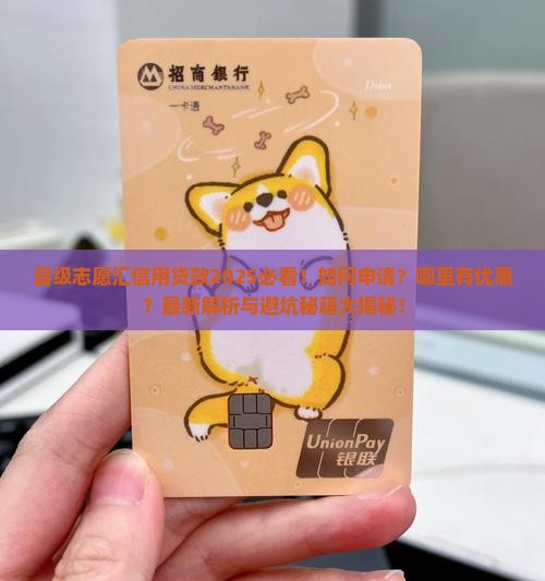 县级志愿汇信用贷款
