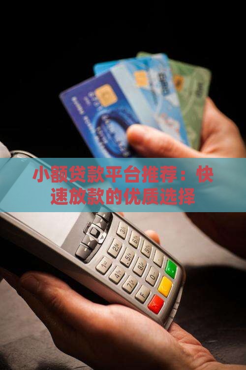 快送通过的小额贷款平台