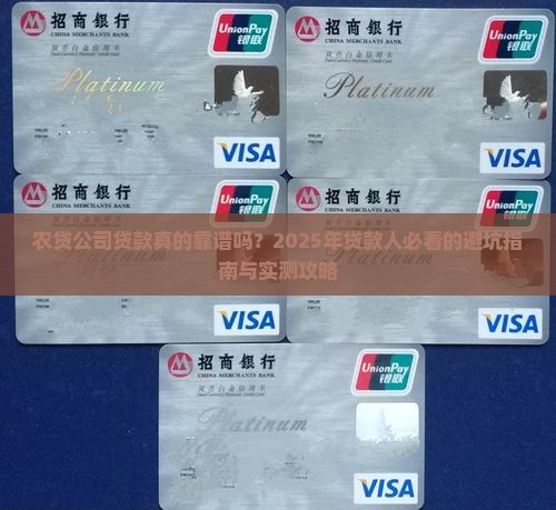 农贷公司贷款