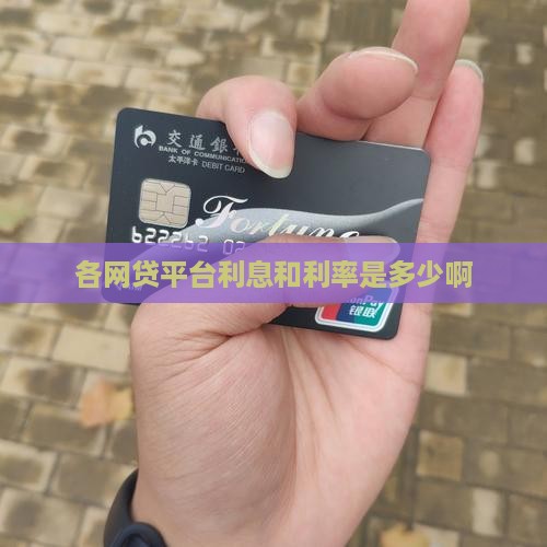 各贷款平台费率是多少啊