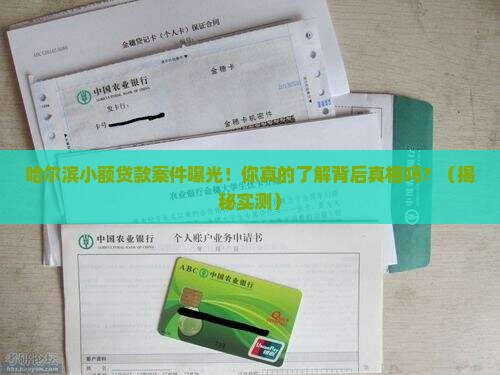 哈尔滨小额贷款案件最新