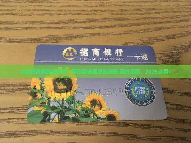 劳动就业局小额贷款