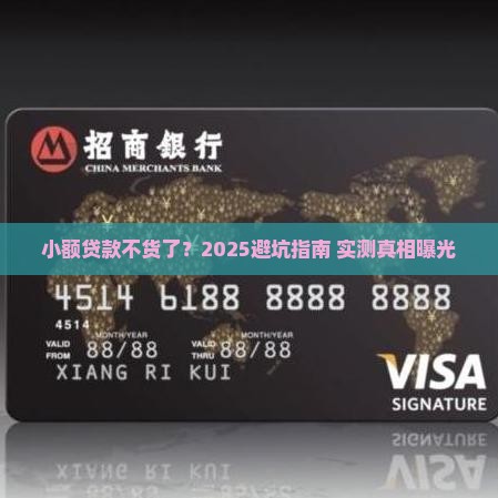 小额贷款不货了