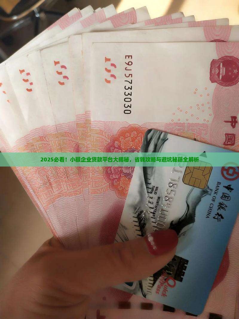 小额企业贷款平台有哪些