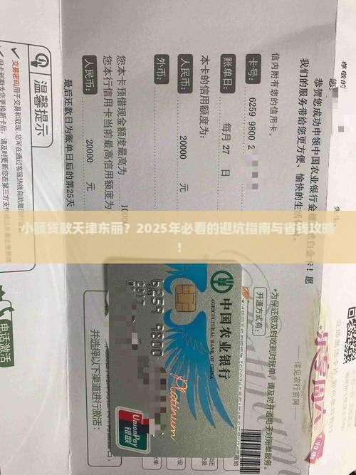 小额贷款天津东丽
