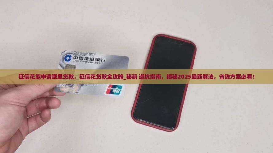 征信花能申请哪里贷款