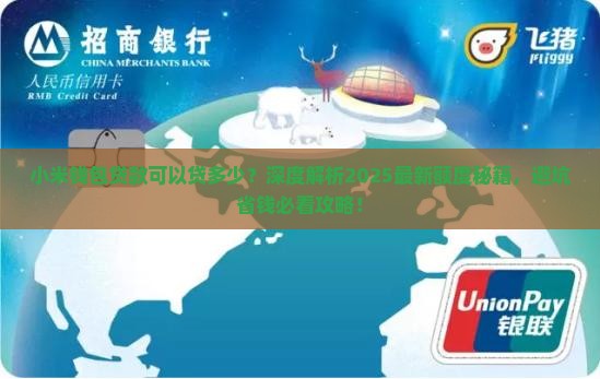 小米钱包贷款可以贷多少