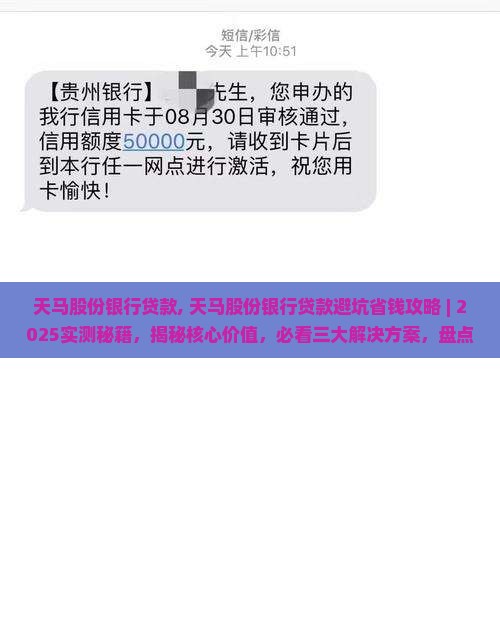 天马股份银行贷款