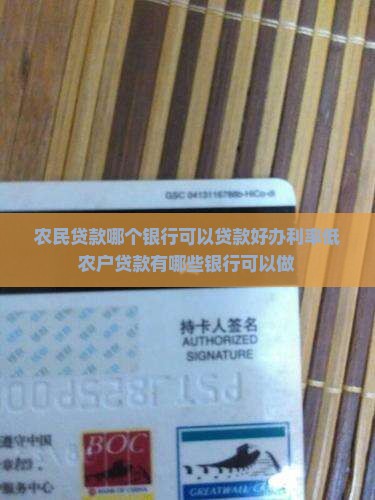 农民贷款哪个银行可以