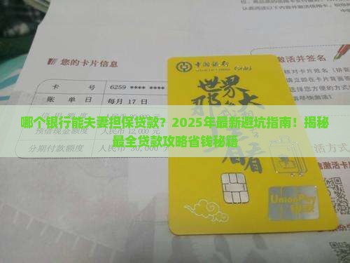 哪个银行能夫妻担保贷款